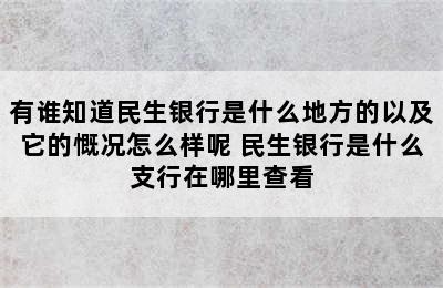 有谁知道民生银行是什么地方的以及它的慨况怎么样呢 民生银行是什么支行在哪里查看